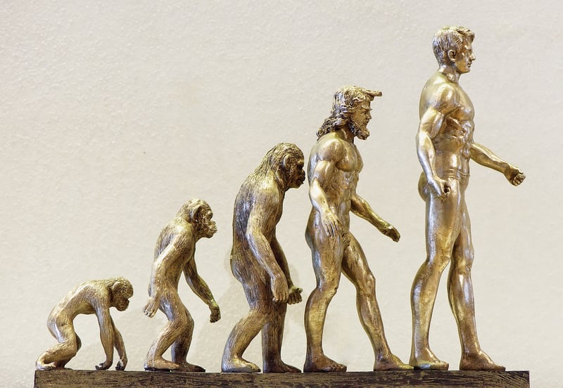 Food Evolution
